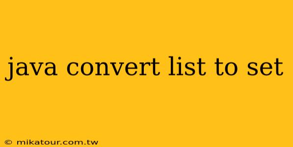 java convert list to set