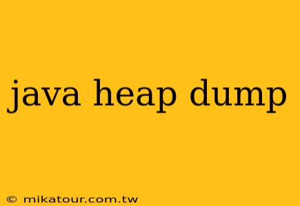 java heap dump