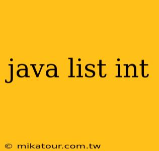 java list int