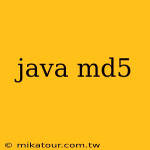 java md5