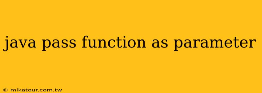 java pass function as parameter