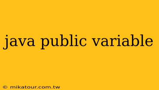 java public variable