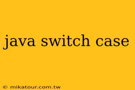 java switch case