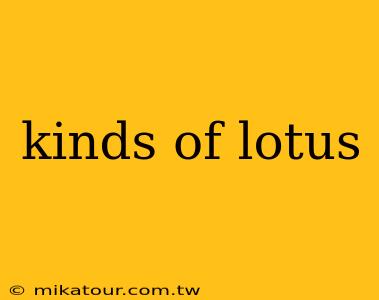 kinds of lotus