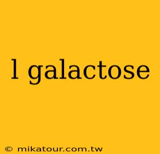 l galactose