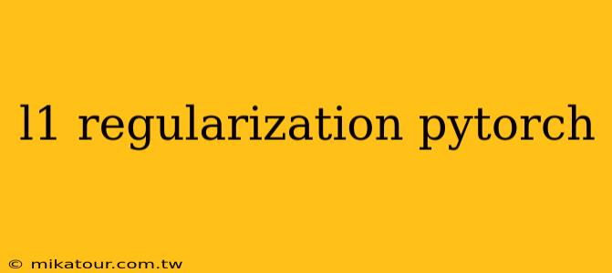 l1 regularization pytorch