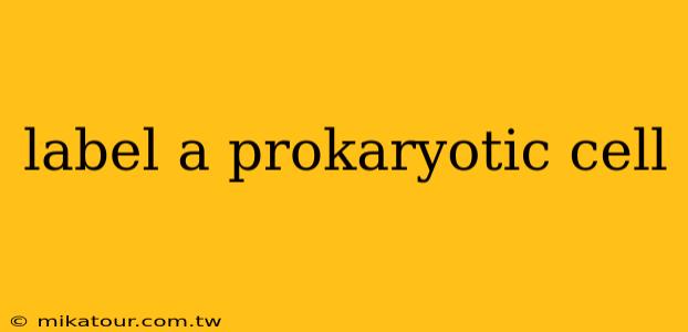 label a prokaryotic cell