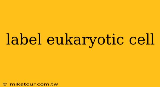 label eukaryotic cell