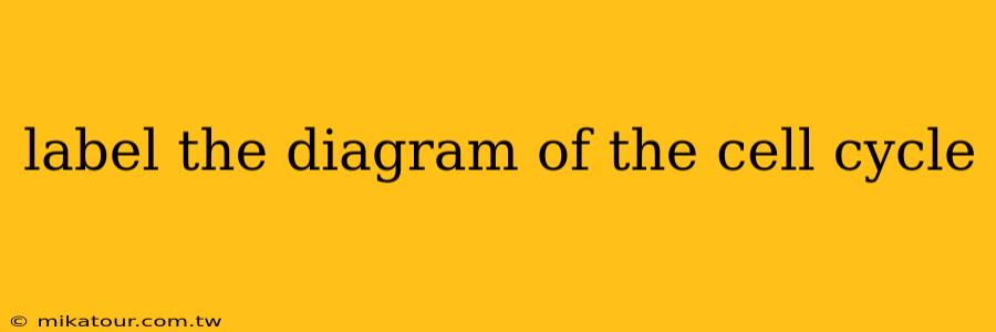 label the diagram of the cell cycle