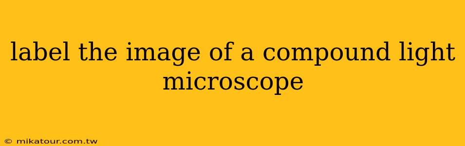 label the image of a compound light microscope