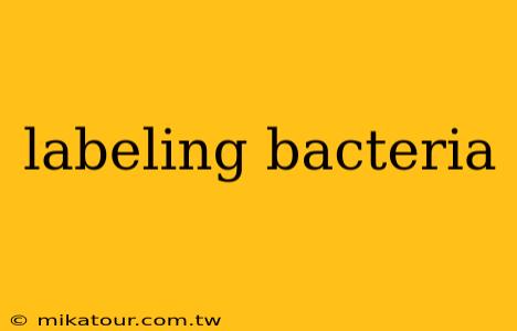 labeling bacteria