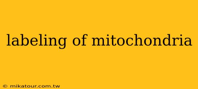 labeling of mitochondria