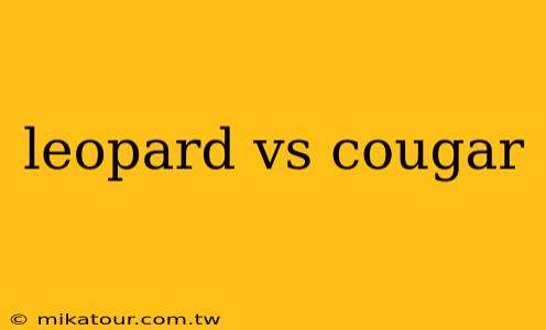 leopard vs cougar