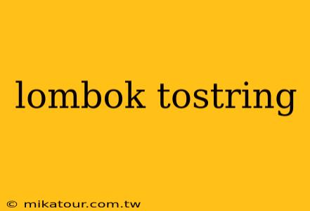 lombok tostring