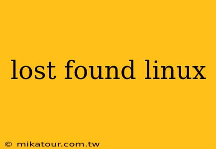 lost found linux