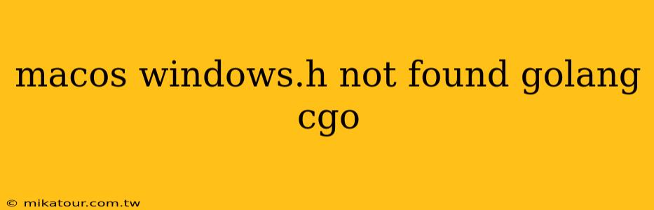 macos windows.h not found golang cgo