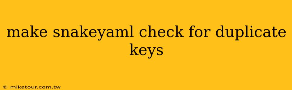 make snakeyaml check for duplicate keys