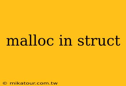 malloc in struct