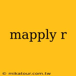 mapply r