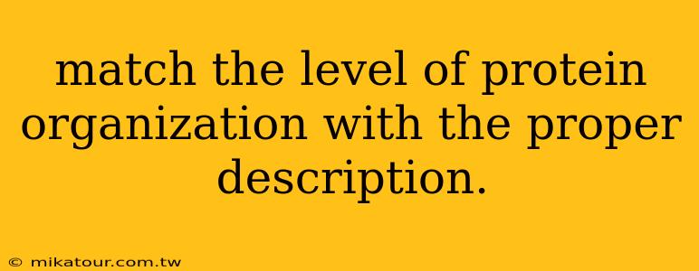 match the level of protein organization with the proper description.