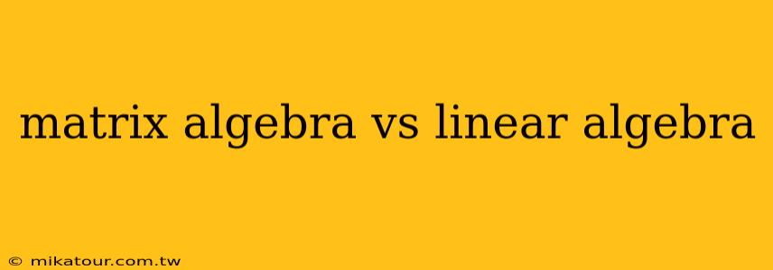 matrix algebra vs linear algebra