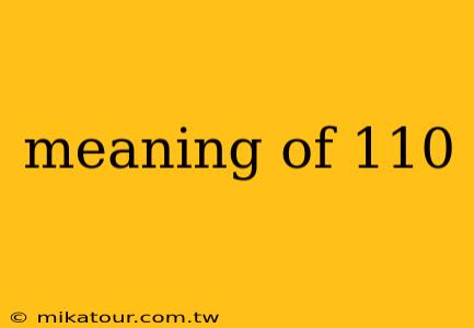 meaning of 110