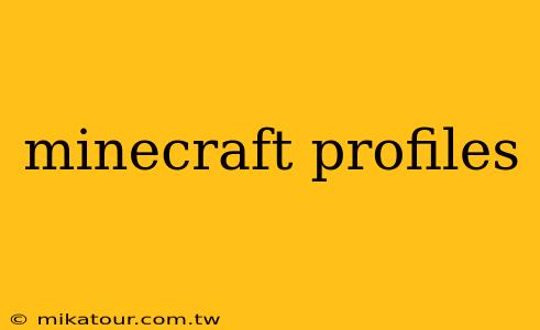 minecraft profiles