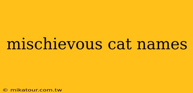 mischievous cat names