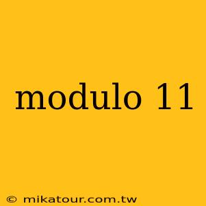 modulo 11