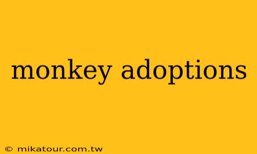 monkey adoptions