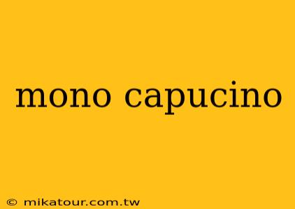 mono capucino