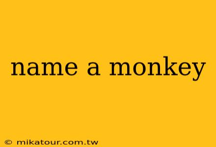 name a monkey