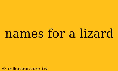 names for a lizard