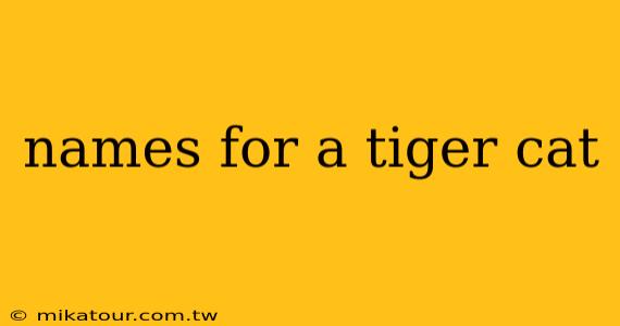 names for a tiger cat