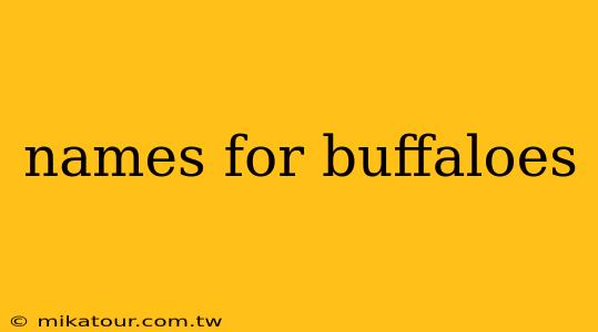 names for buffaloes