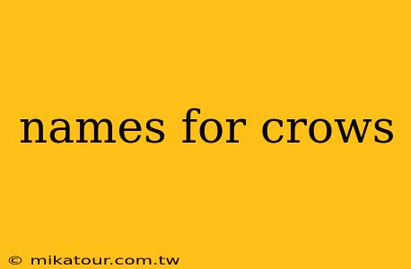 names for crows