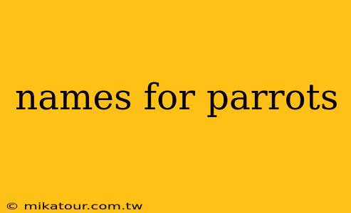 names for parrots