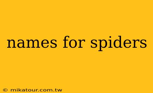 names for spiders