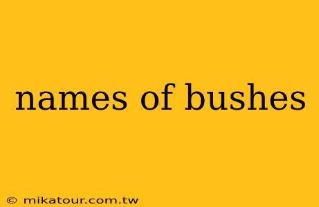 names of bushes