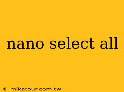 nano select all