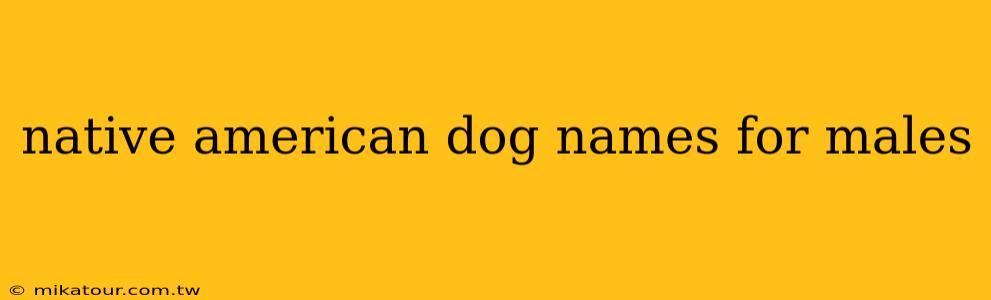 native american dog names for males