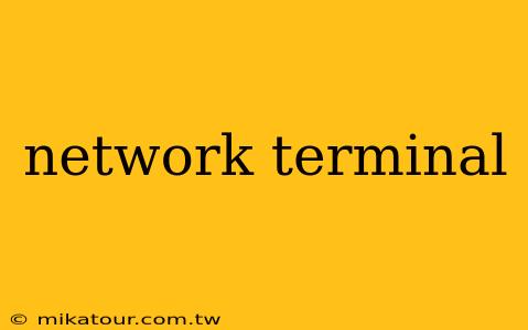 network terminal