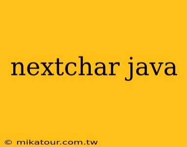 nextchar java