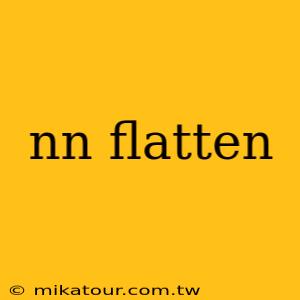 nn flatten