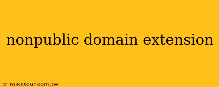 nonpublic domain extension