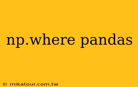 np.where pandas