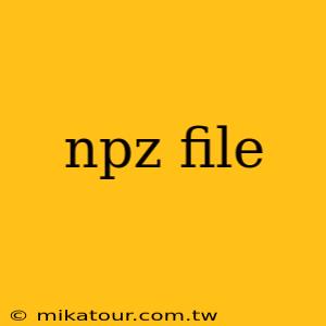 npz file