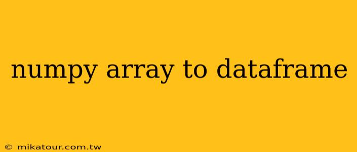 numpy array to dataframe