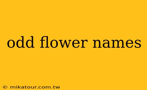 odd flower names