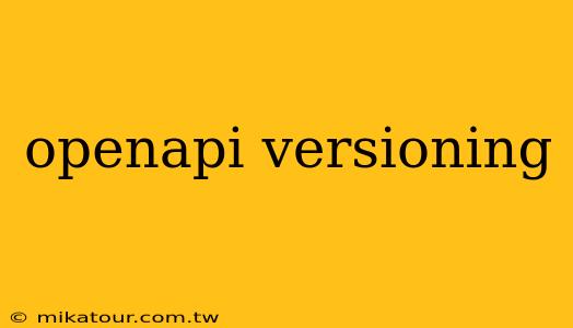 openapi versioning